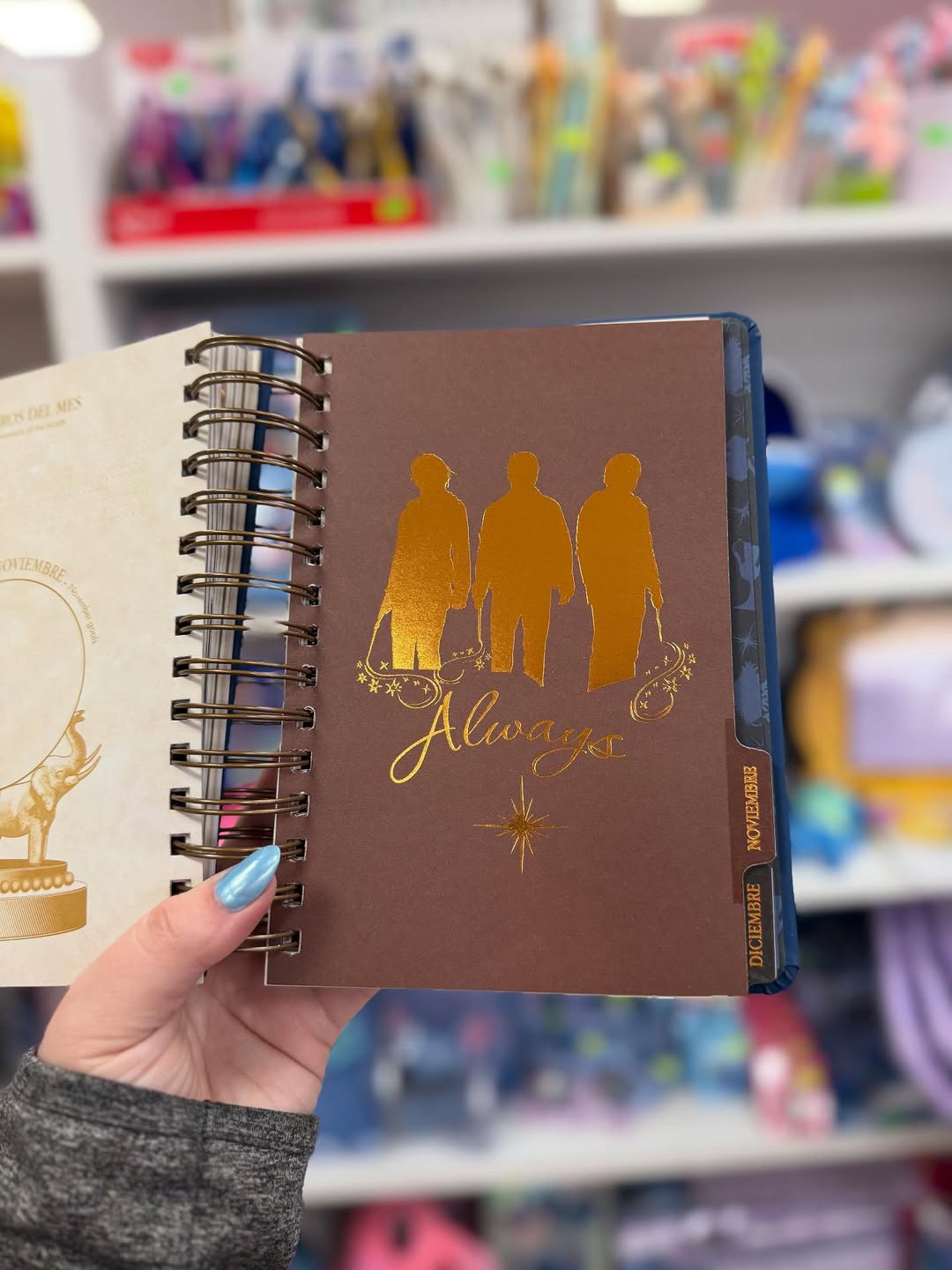 The Muggle Agenda 2026 - Magical Planner for Muggle