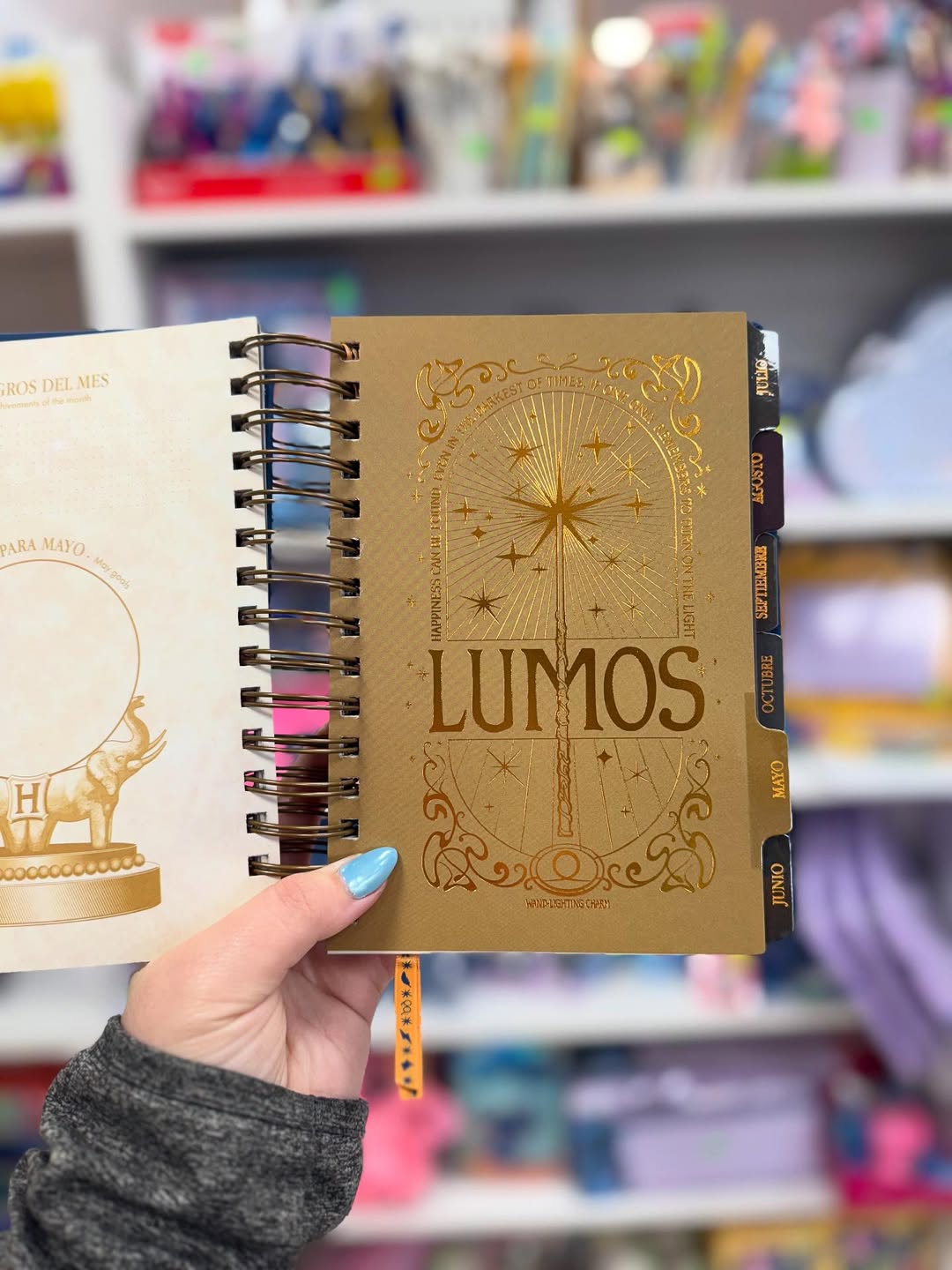 The Muggle Agenda 2026 - Magical Planner for Muggle